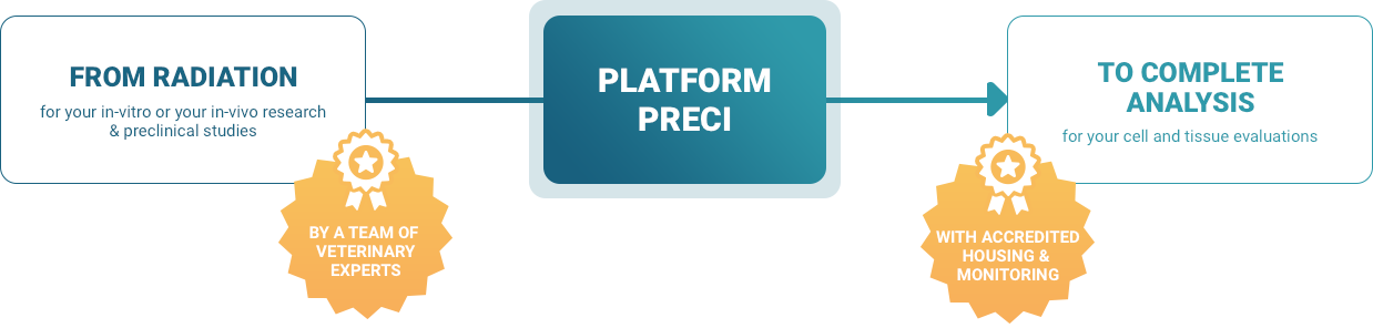 Plateform Preci - From radiation to complete analysis